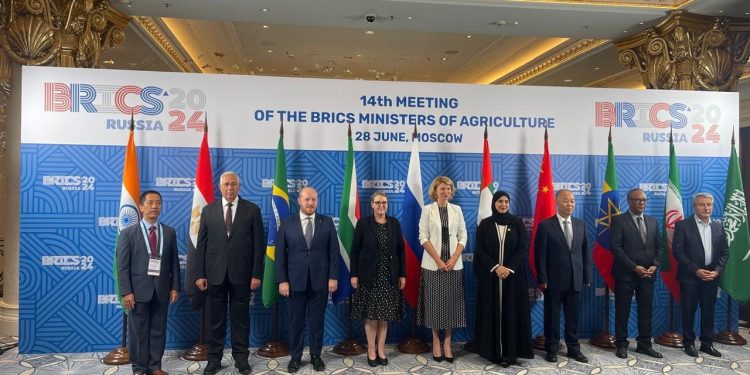 وزير الزراعة: 42% نسبة إنتاج الحبوب بدول "بريكس" من الإنتاج العالمي