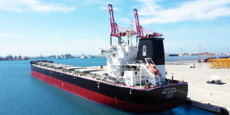 أسطول النقل البحرى المصرى