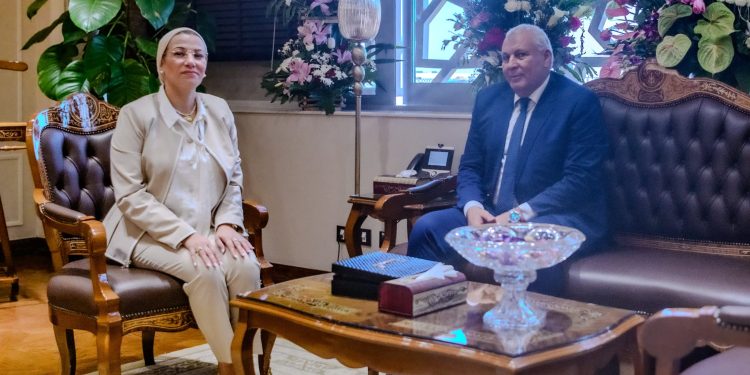 "البيئة" تبحث الاستفادة من جريد النخيل فى الوادى الجديد