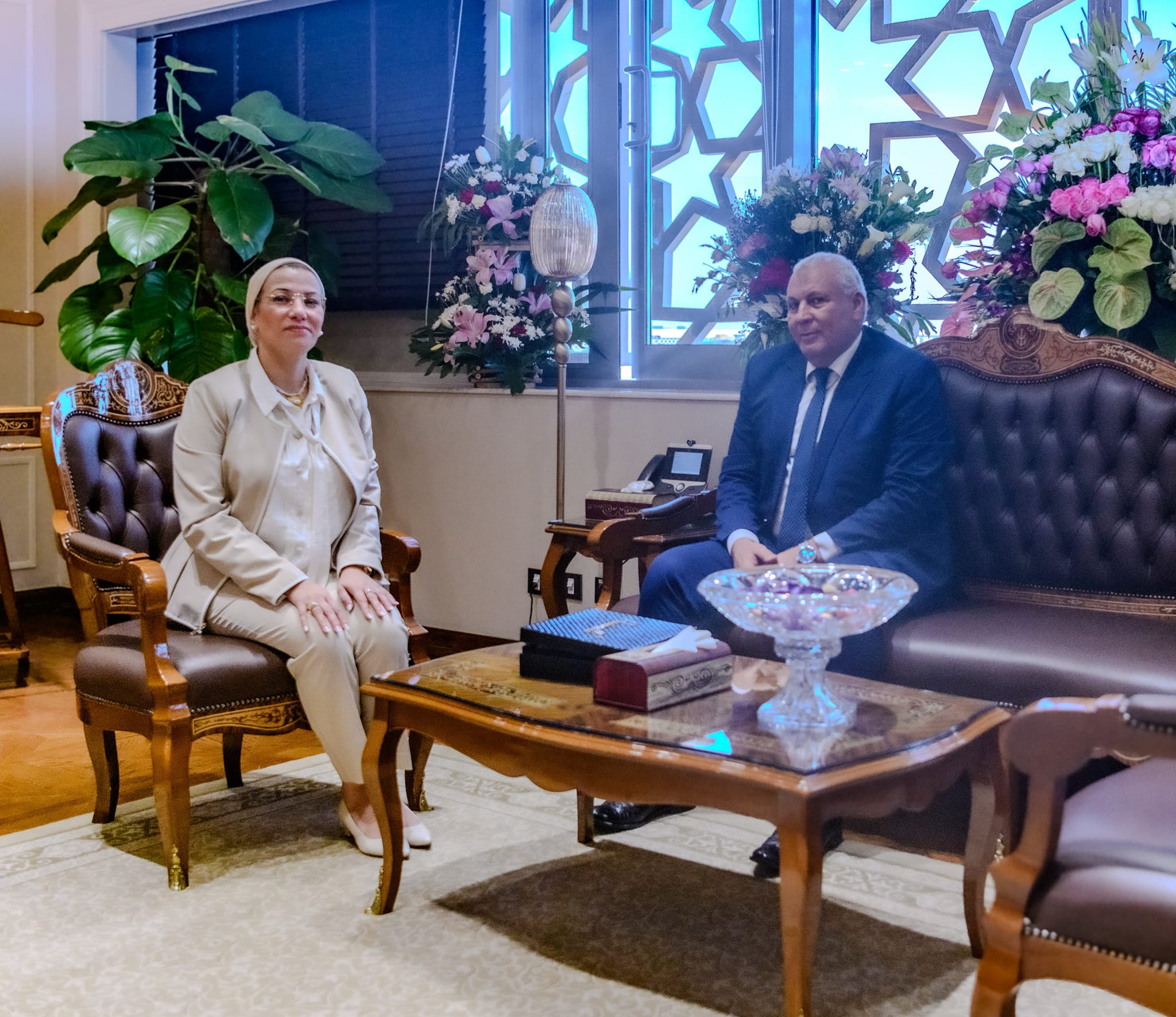 "البيئة" تبحث الاستفادة من جريد النخيل فى الوادى الجديد