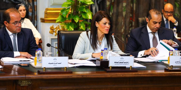 "المشاط": دمج "التخطيط" و"التعاون الدولي" لتوفير التمويلات الميسرة للقطاع الخاص