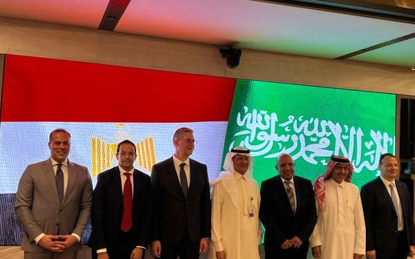 عصمت: بدء تشغيل مشروع الربط الكهربائي بين مصر والسعودية مطلع الصيف المقبل