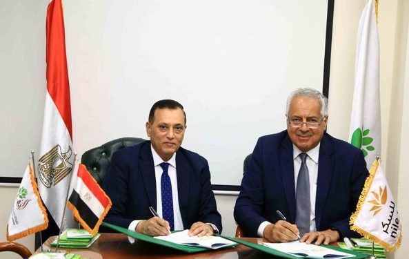 "تنمية الريف المصرى" تتعاقد مع "النيل للسكر" لاستثمار 14 ألف فدان فى المنيا