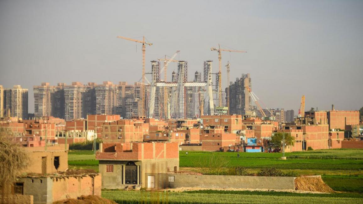 الحكومة تحصل على 993 فدانًا فى جزيرة الوراق