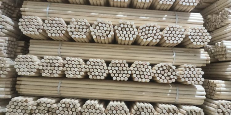 «استثمار فى البساطة».. «الكريم» تحقق أرباحاً قياسية بصادرات «عصا المقشة» و«الشماسى»