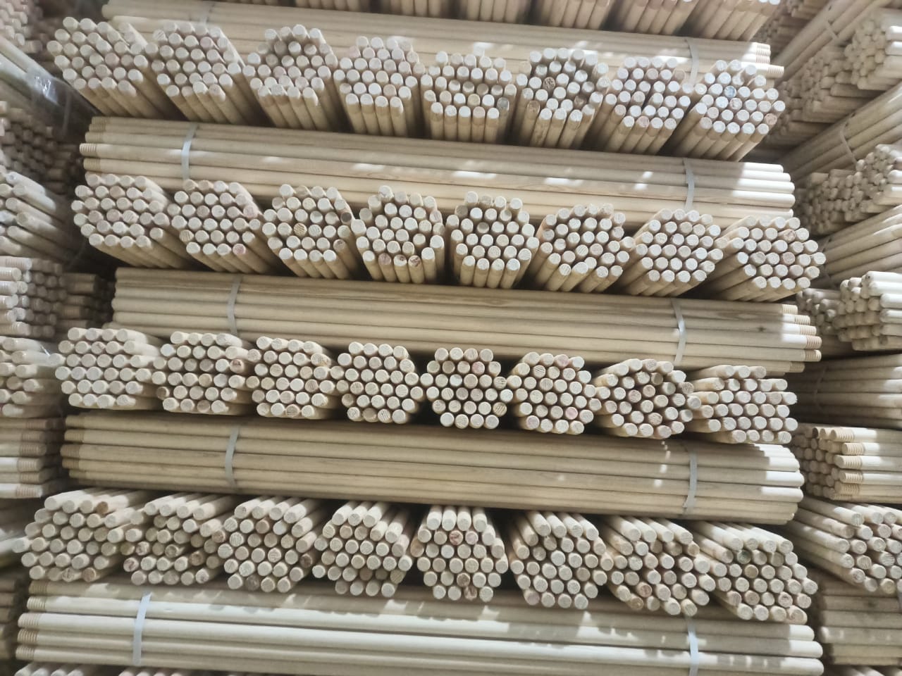 «استثمار فى البساطة».. «الكريم» تحقق أرباحاً قياسية بصادرات «عصا المقشة» و«الشماسى»