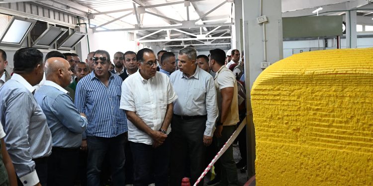 155 مليون جنيه مبيعات "المصرية الأفريقية لصناعة الإسفنج" سنويًا