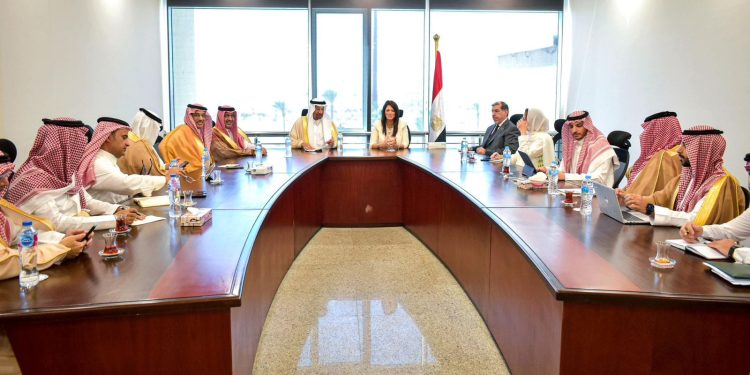 وزيرة التعاون الدولى: نتطلع إلى زيادة الاستثمارات السعودية فى مصر