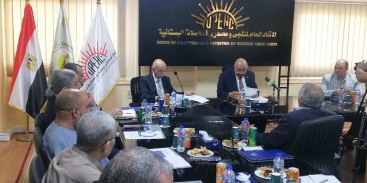 "الحاصلات البستانية" يدشن مجلس الفراولة لحل معوقات المنتجين والمصدرين