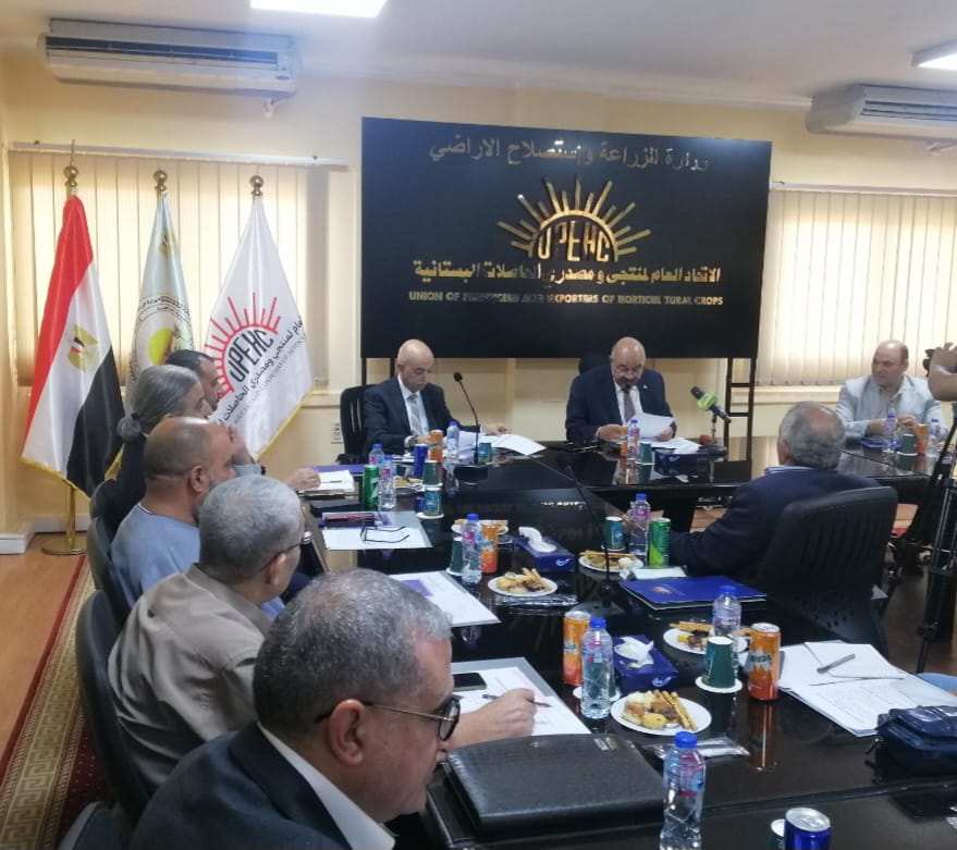 "الحاصلات البستانية" يدشن مجلس الفراولة لحل معوقات المنتجين والمصدرين