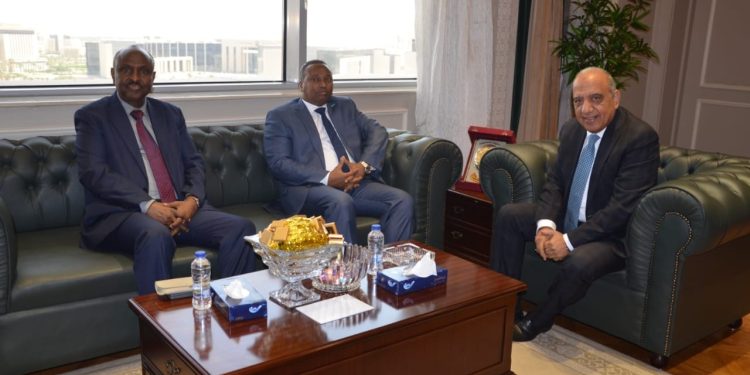 عصمت: مستعدون لتلبية احتياجات جيبوتي فى المجالات المتعلقة بالكهرباء