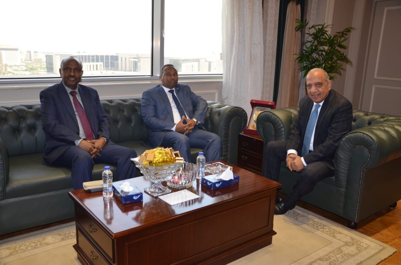 عصمت: مستعدون لتلبية احتياجات جيبوتي فى المجالات المتعلقة بالكهرباء