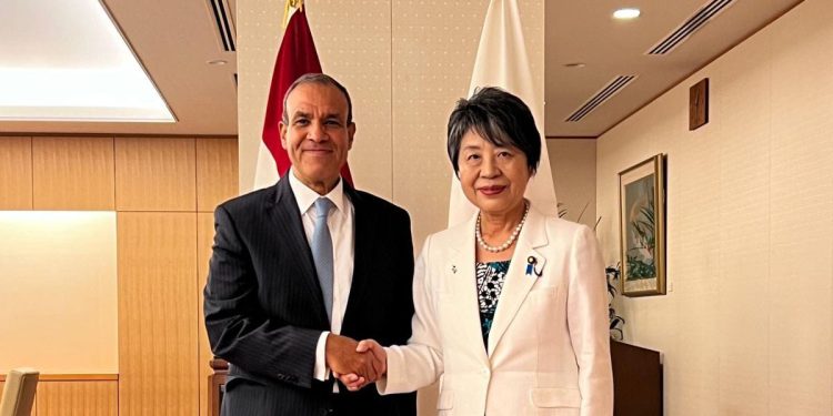 وزير الخارجية يؤكد أهمية إصلاح البنية المالية العالمية