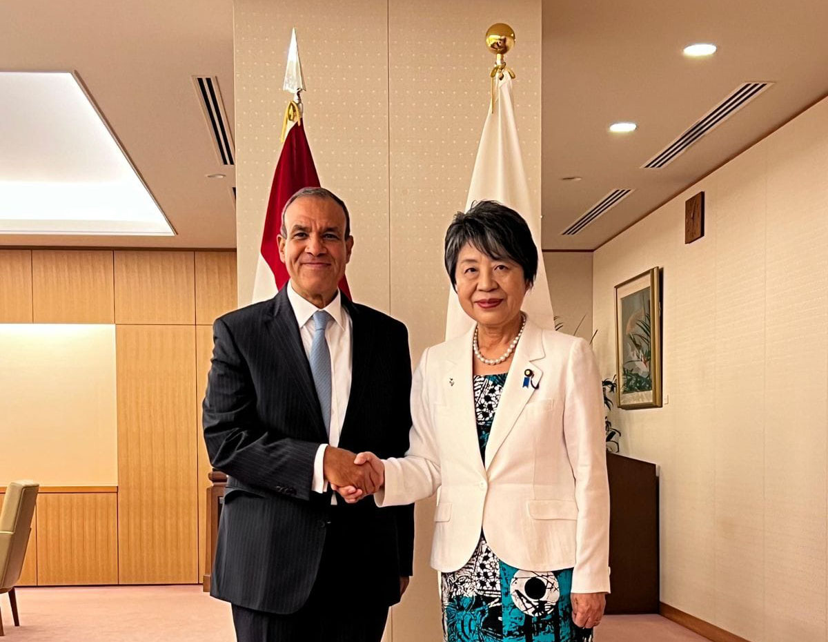 وزير الخارجية يؤكد أهمية إصلاح البنية المالية العالمية