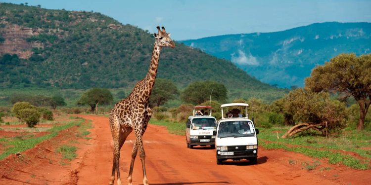 السياحة في كينيا