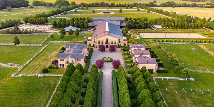 العائلات الغنية فى ألمانيا تقتنص العقارات الفاخرة بعد انخفاض الأسعار