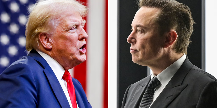 دونالد ترامب وإيلون ماسك