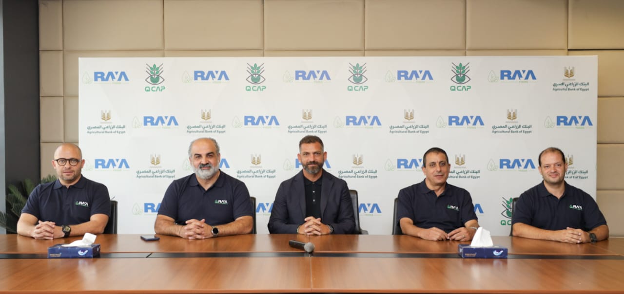 "راية فودز" تعتزم زراعة 800 فدان فراولة لزيادة الصادرات