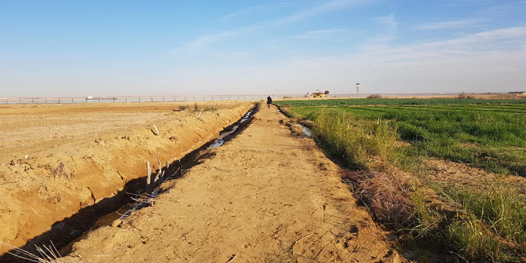 "رأس الحكمة" توجه أنظار شركات استصلاح الأراضى نحو الضبعة ؛ "مزرعتك في مصر"