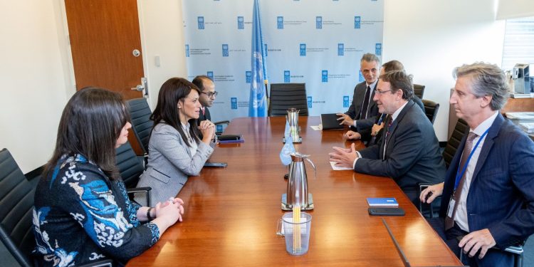 مصر تبحث الاستفادة من برامج "UNDP" في تطوير الشركات المملوكة للدولة