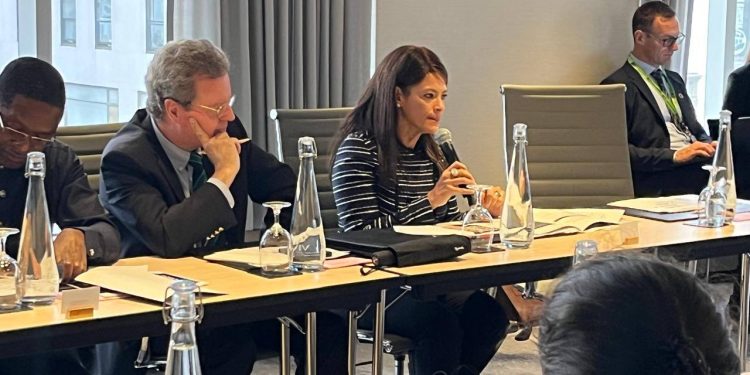 رانيا المشاط وزيرة التخطيط