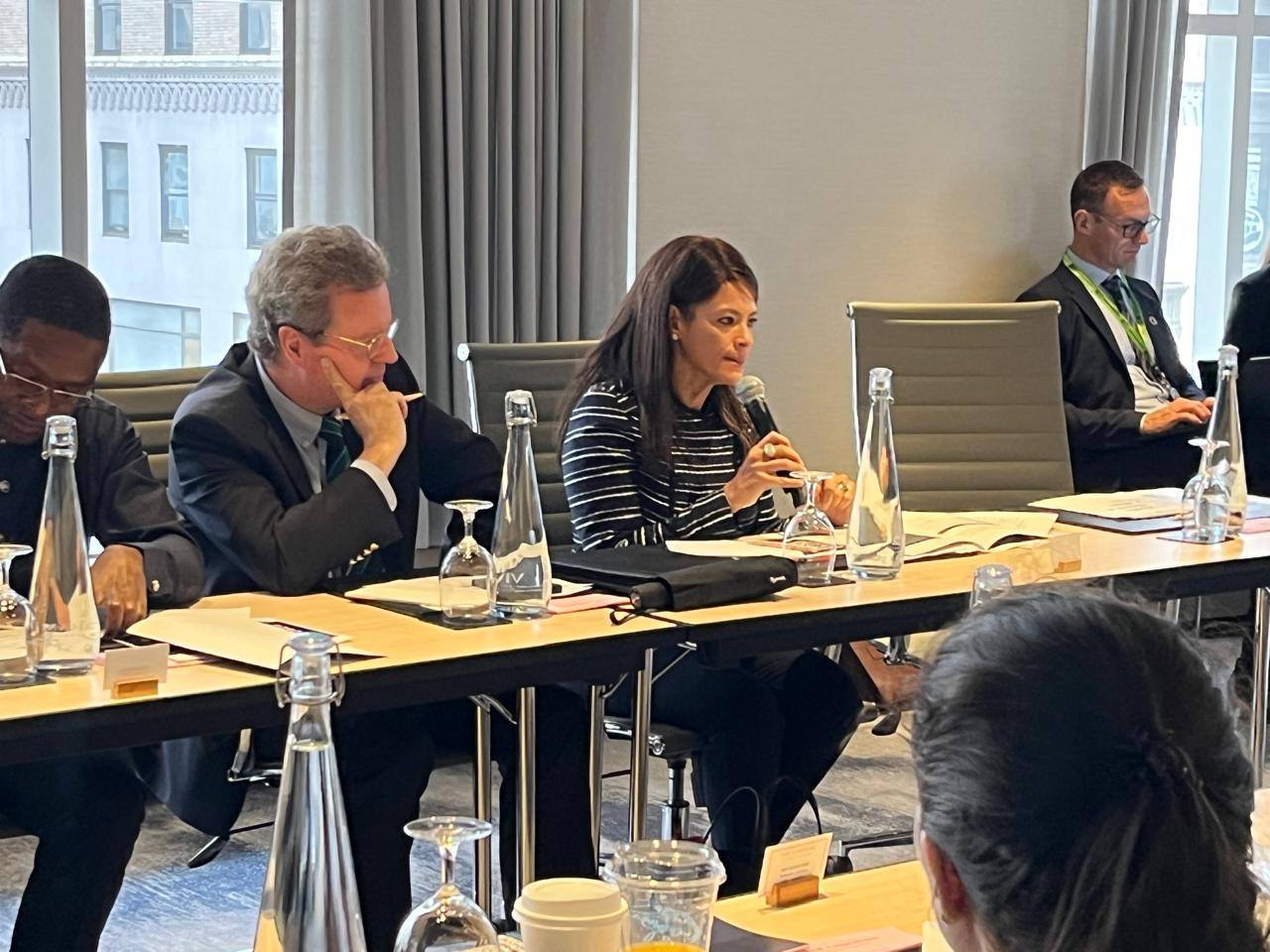 رانيا المشاط وزيرة التخطيط