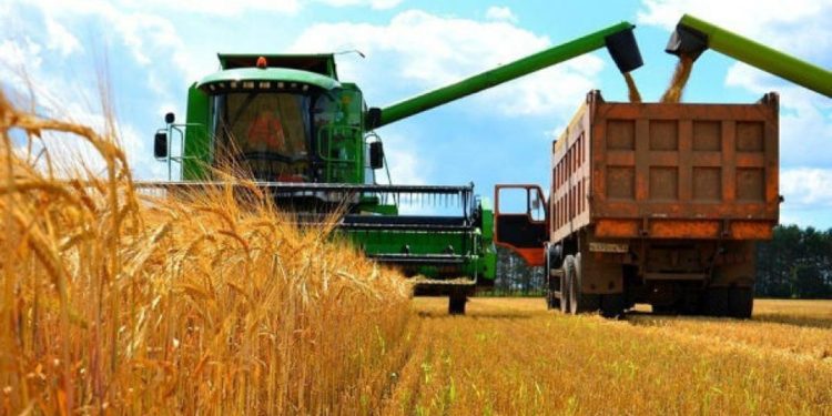 كازاخستان ؛ الزراعة ؛ الأمن الغذائى