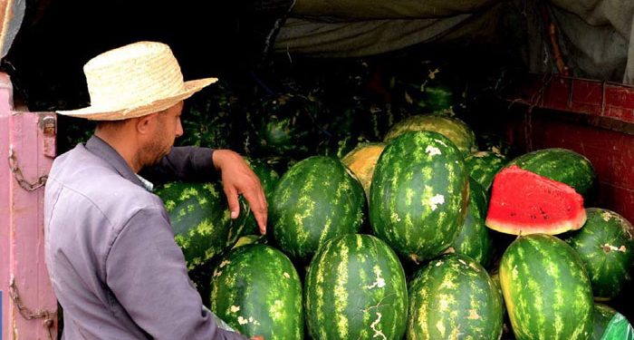 المغرب.. ثاني مزود لأسواق الاتحاد الأوروبي بالبطيخ