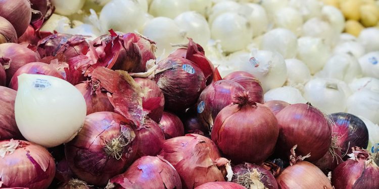 البصل المصرى ؛ الحاصلات الزراعية