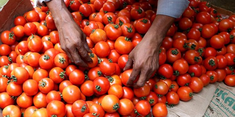 الطماطم ؛ الحاصلات الزراعية ؛ الأسواق ؛ التضخم