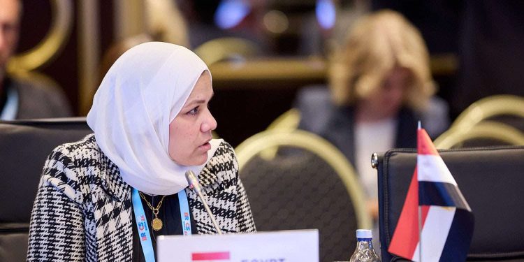 رشا عبدالعال، رئيس مصلحة الضرائب المصرية