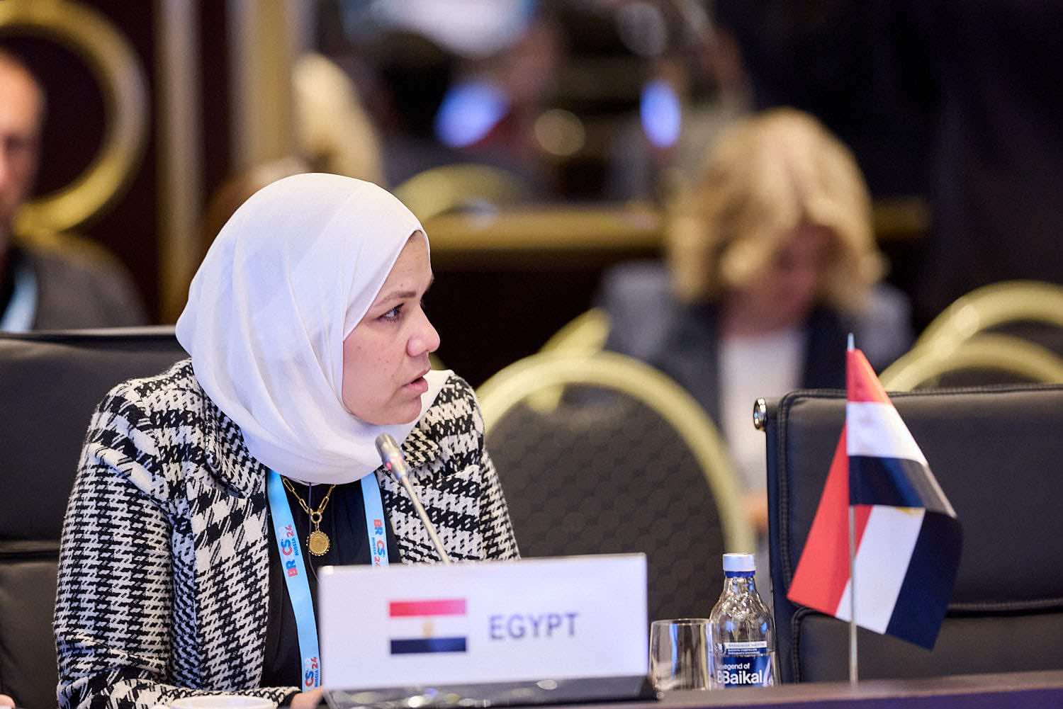 رشا عبدالعال، رئيس مصلحة الضرائب المصرية