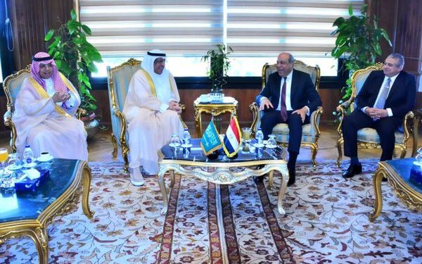 مصر تبحث مع السعودية التعاون في مجال الطيران المدني
