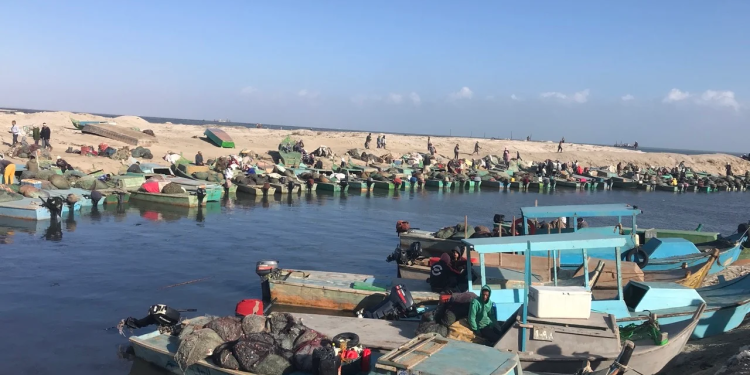 بحيرة البردويل ؛ الثروة السمكية