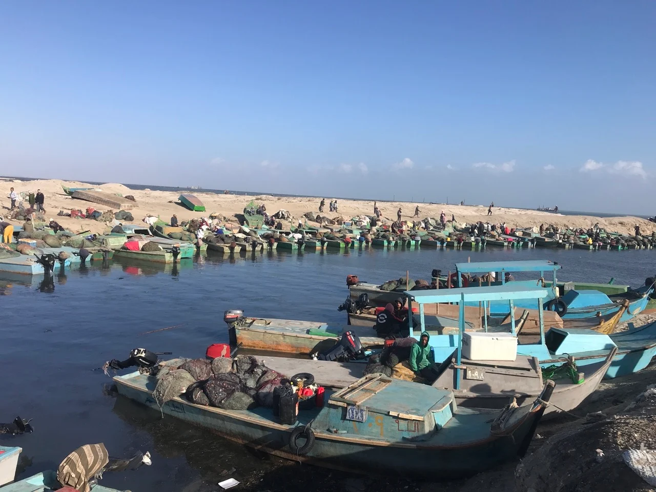 بحيرة البردويل ؛ الثروة السمكية