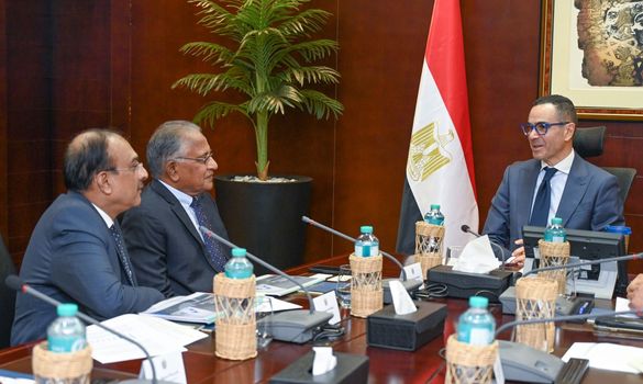 "سانمار" الهندية للكيماويات تخطط لاستثمار 300 مليون دولار فى مصر