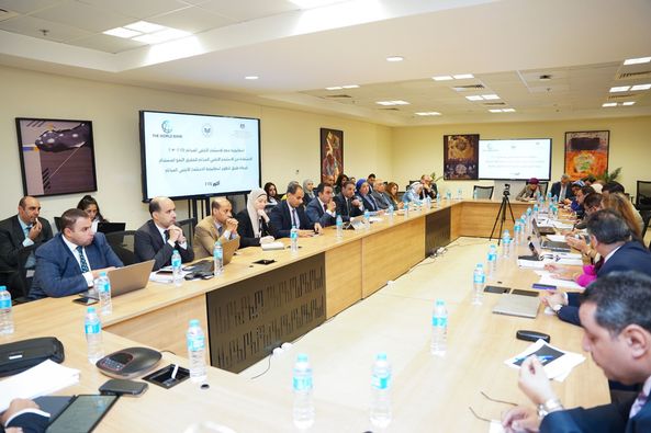 "المشاط" تناقش مسودة الاستراتيجية الوطنية للاستثمار الأجنبي المباشر