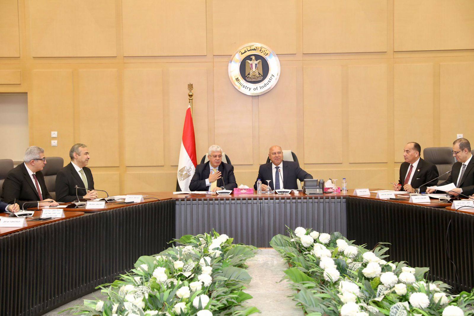 "الصناعة" والتعليم العالى" تنجحان فى إنتاج 100 سيارة تجريبية كهربائية منخفضة السرعة