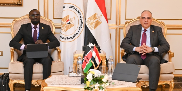 وزير الرى يبحث مع نظيره الكينى تعزيز التعاون فى مجال المياه