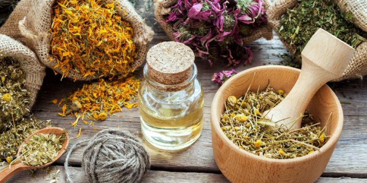 النباتات الطبية والعطرية