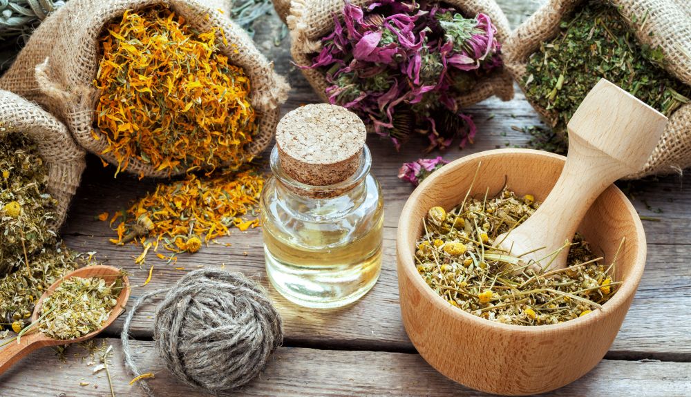 النباتات الطبية والعطرية