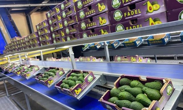 الأسواق في لبنان ؛ المنتجات الغذائية ؛ الصادرات ؛ الحاصلات الزراعية