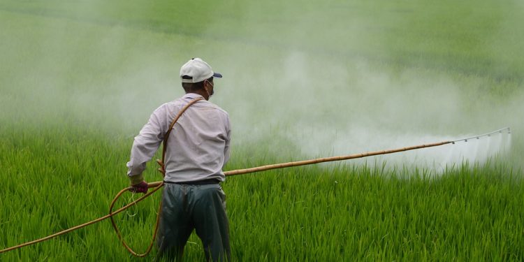استخدام المبيدات الكيماوية في الزراعة