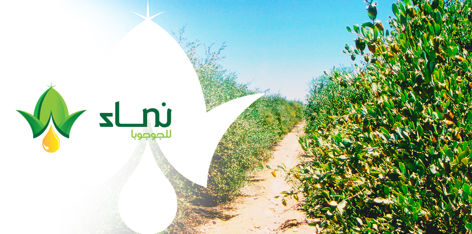 شركة نماء للجوجوبا والزيوت الطبيعية