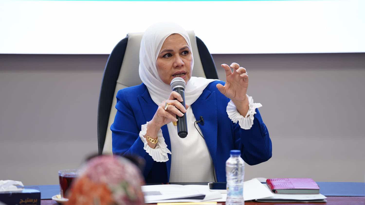 رشا عبد العال، رئيس مصلحة الضرائب المصرية