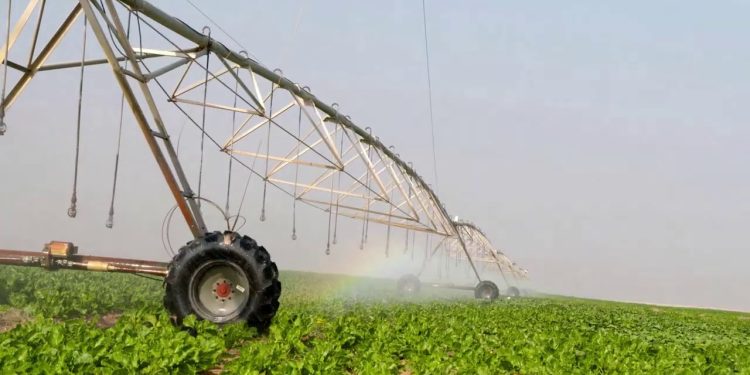 الزراعة ؛ المشروعات الزراعية ؛ تمويلات