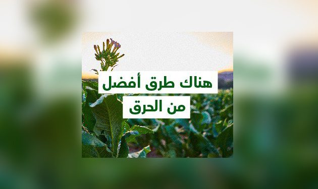 "فيليب موريس": هناك طرق أفضل من الحرق