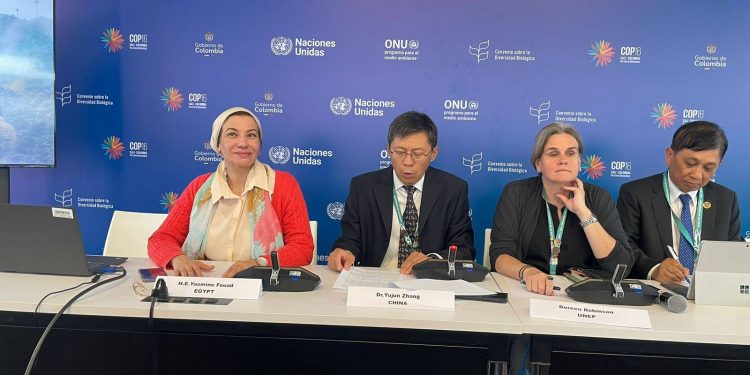 وزيرة البيئة تشارك في إعلان المشروعات التحفيزية الممولة من صندوق كونمينج