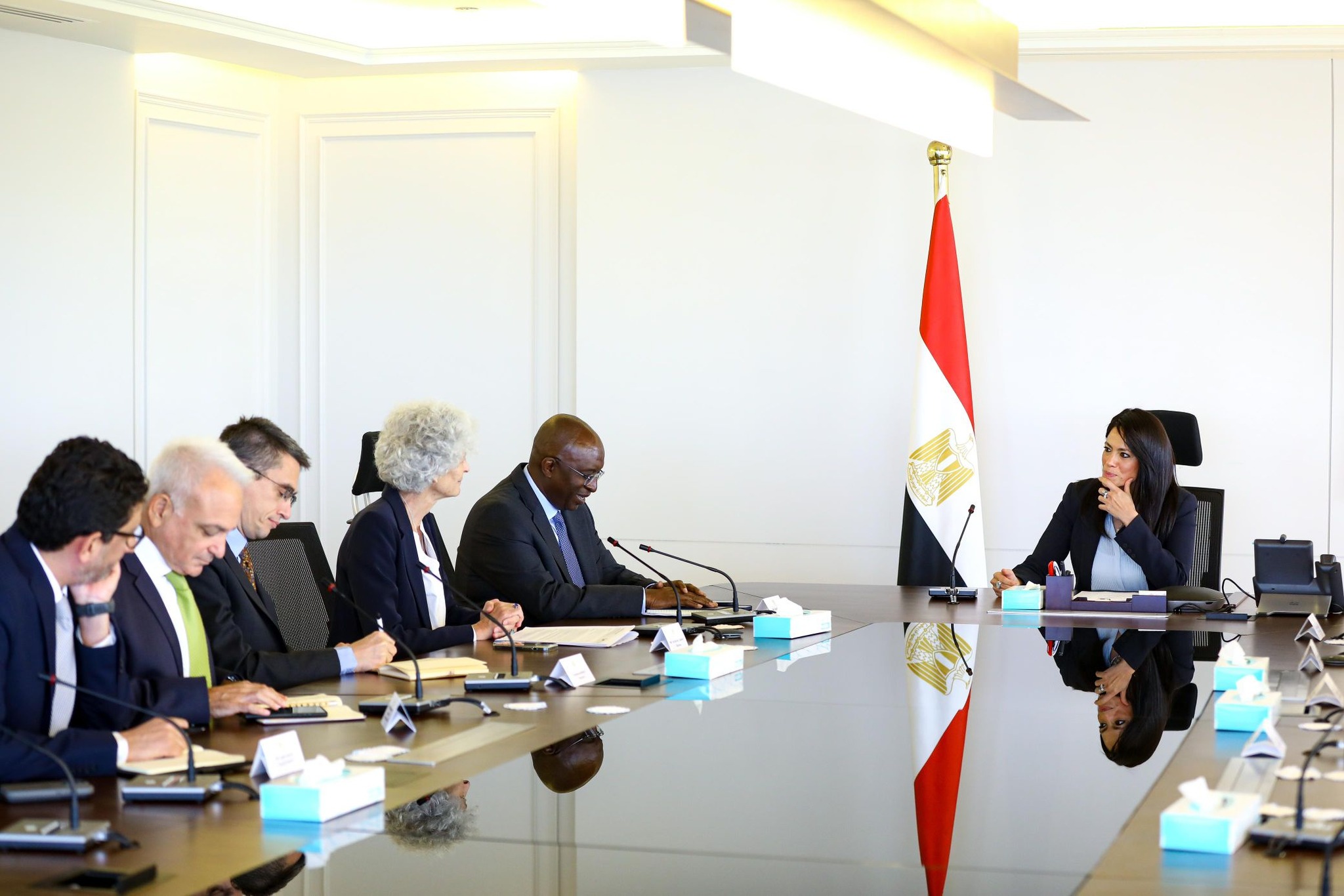 ‏‎مؤسسة التمويل الدولية تتطلع للتعاون مع مصر في مجال التعدين