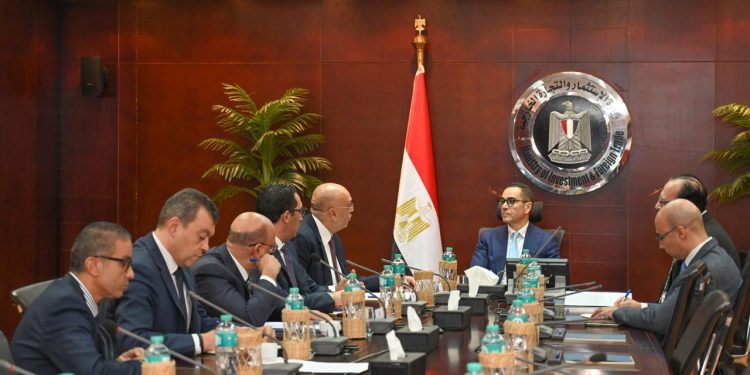 "الاستثمار" تبحث مع "تنمية المشروعات" سبل دعم الشركات الناشئة في مصر